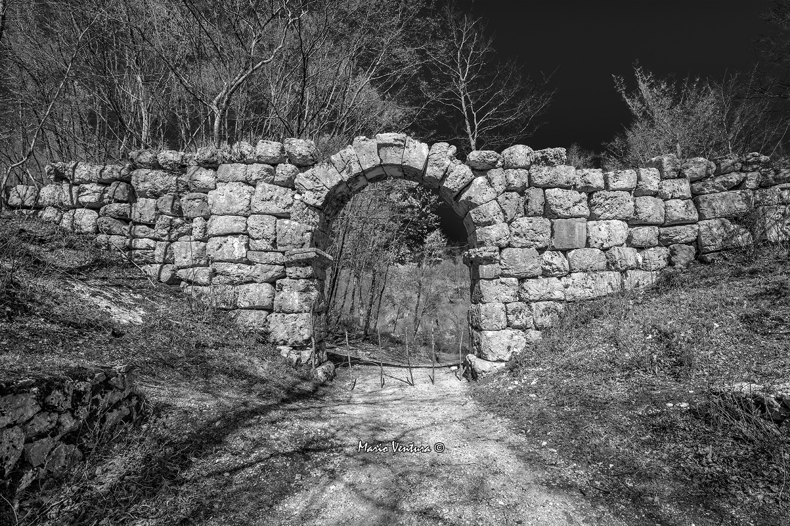 Arco Di Trevi