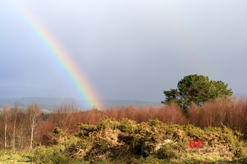 Arco iris