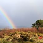 Arco iris