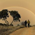 Arco iris