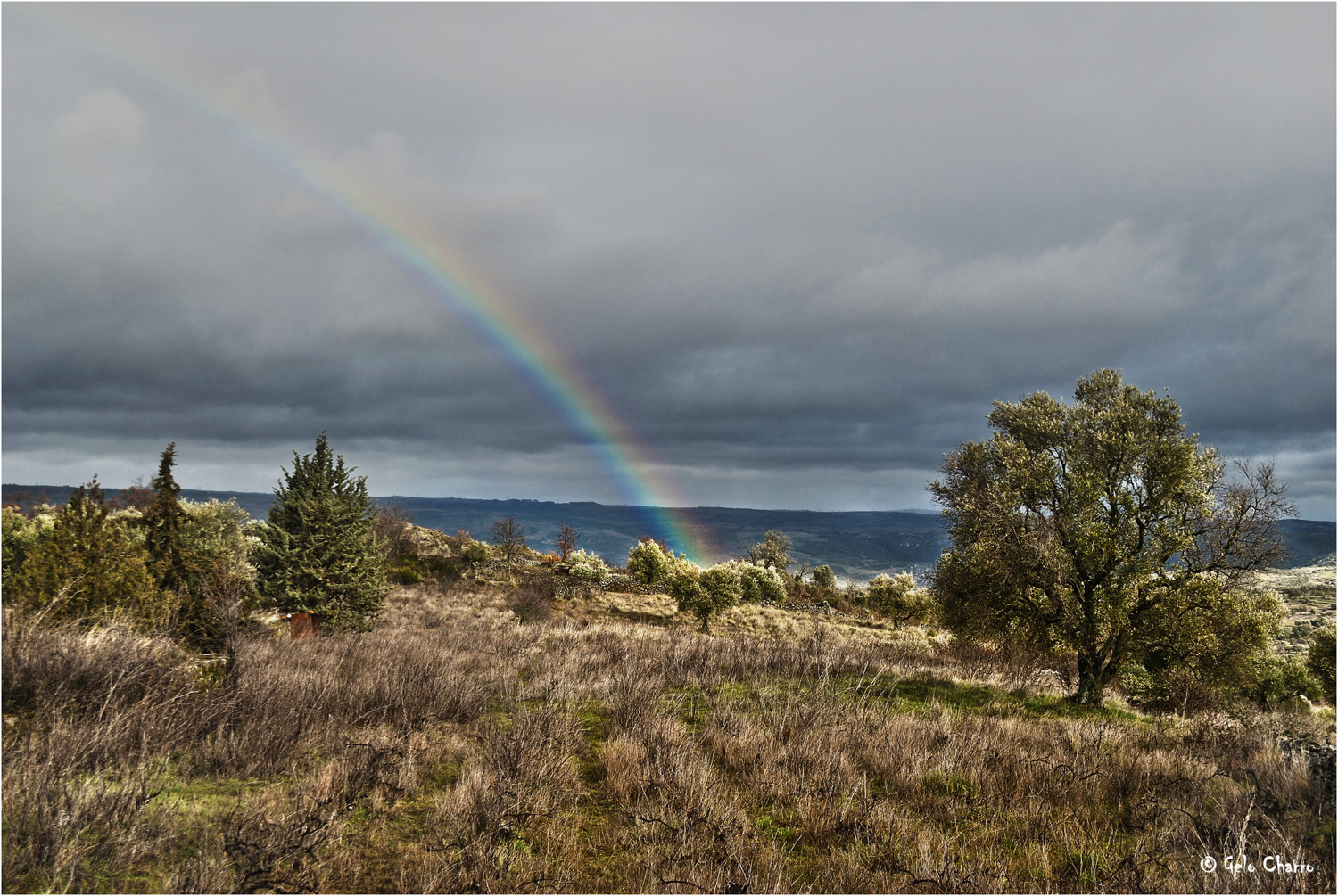 Arco Iris