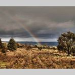 Arco iris