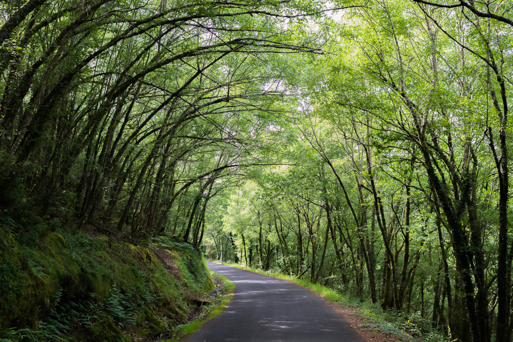 Arco verde.Galicia.