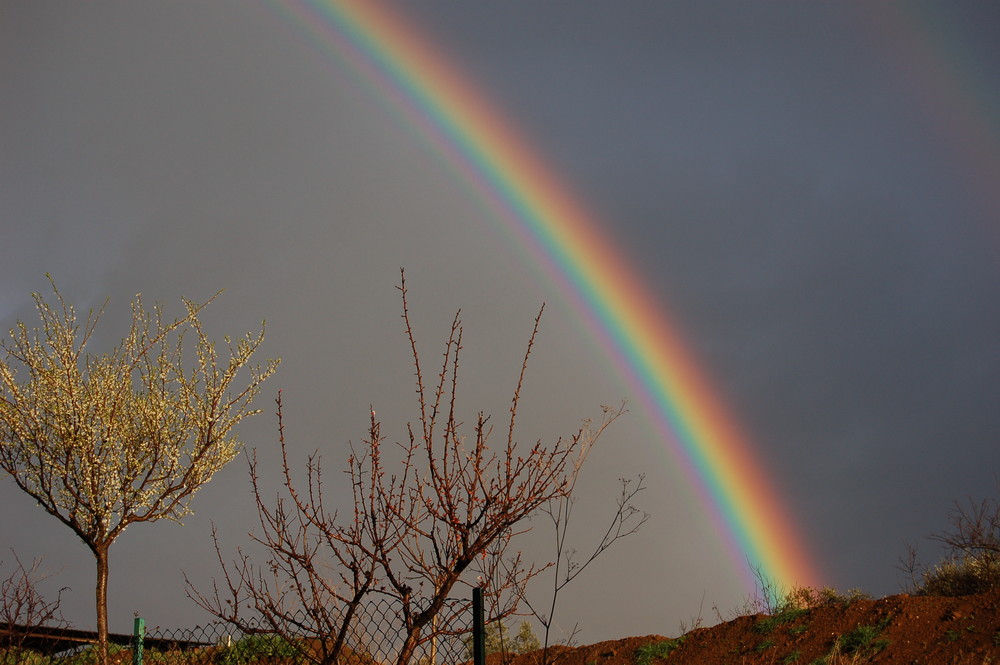 arcobaleno