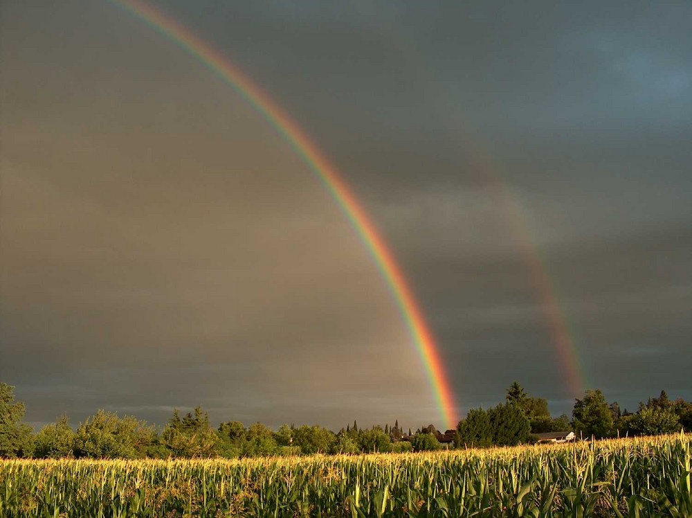 Arcobaleno