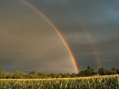 Arcobaleno