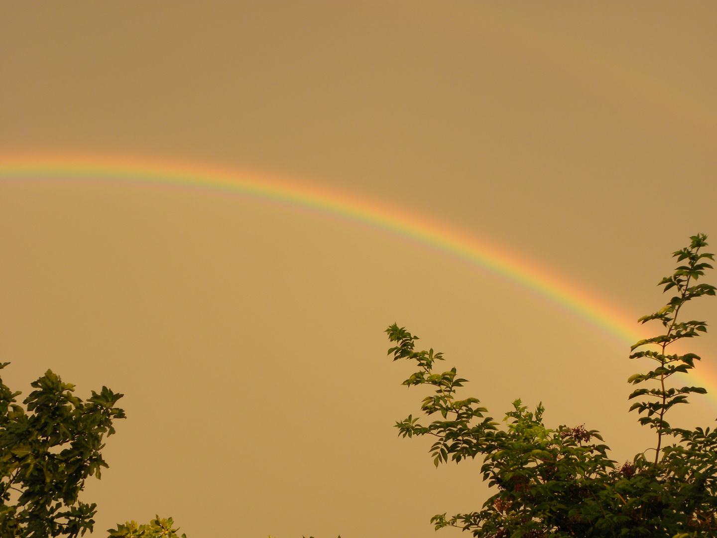 Arcobaleno