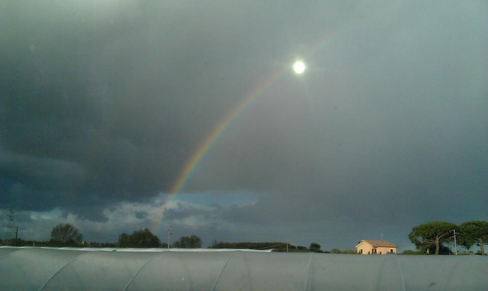 Arcobaleno