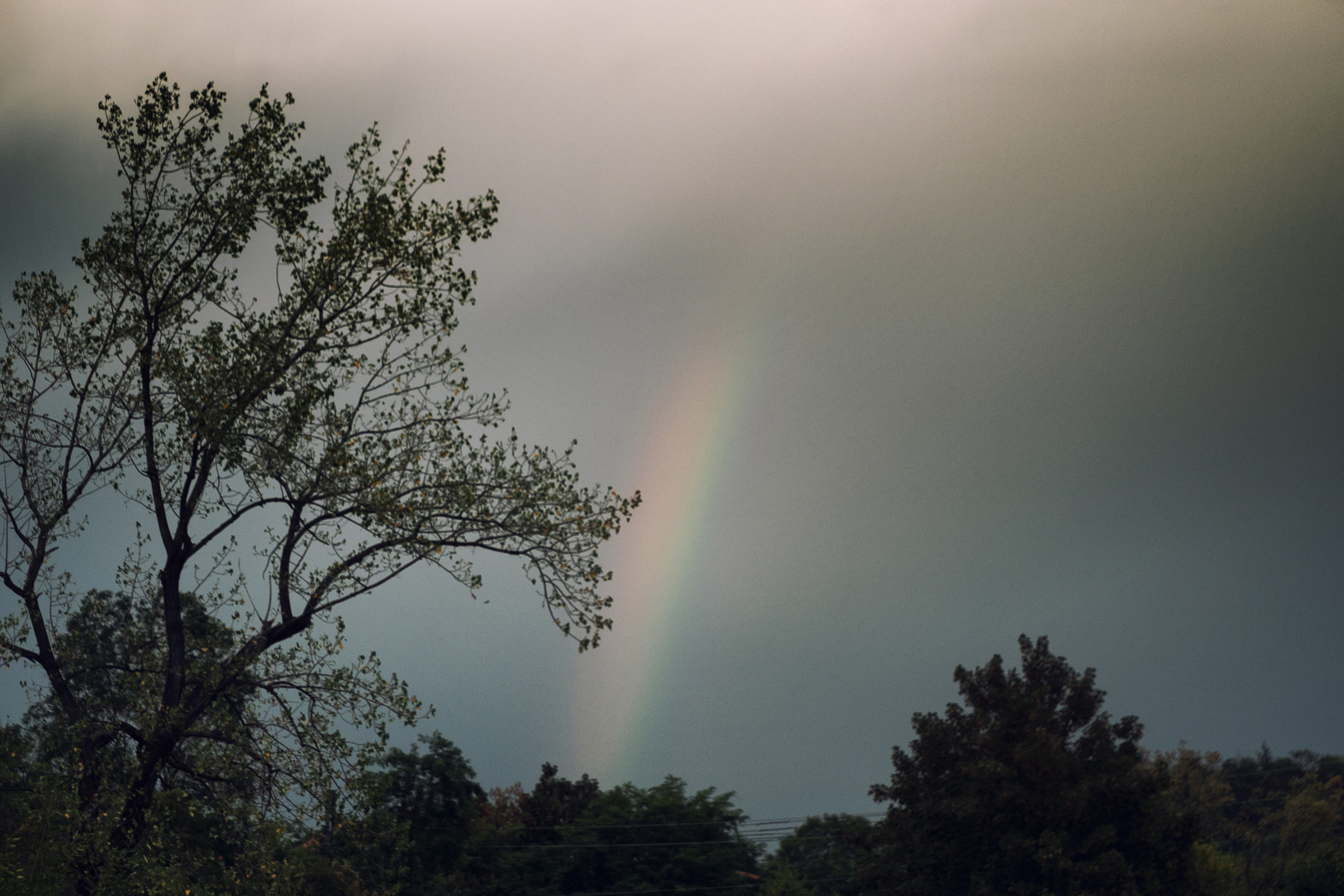 Arcobaleno