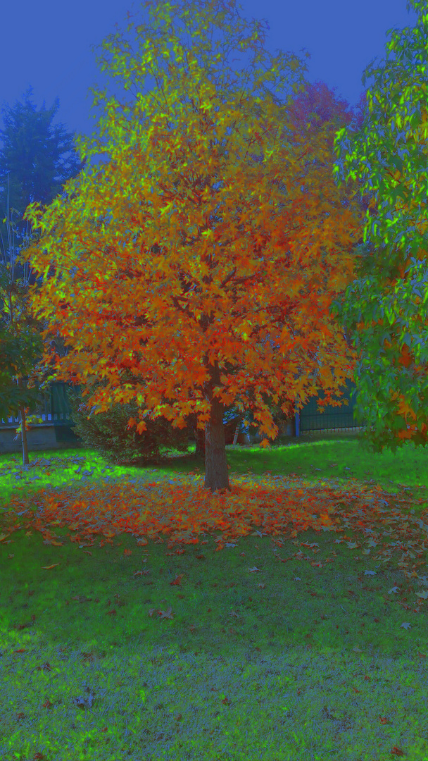 arcobaleno d'autunno