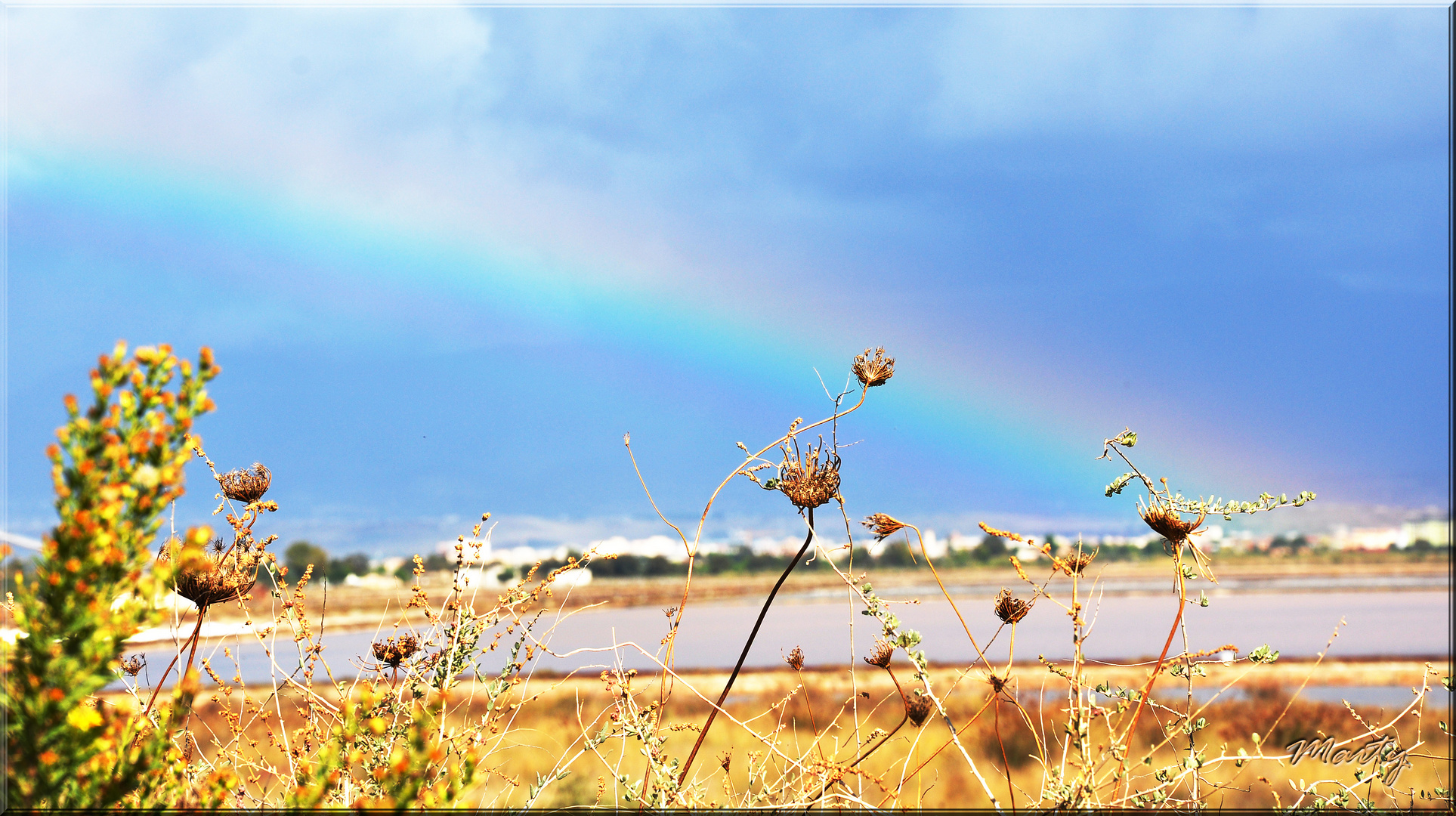 arcobaleno