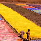 arcobaleno di colori