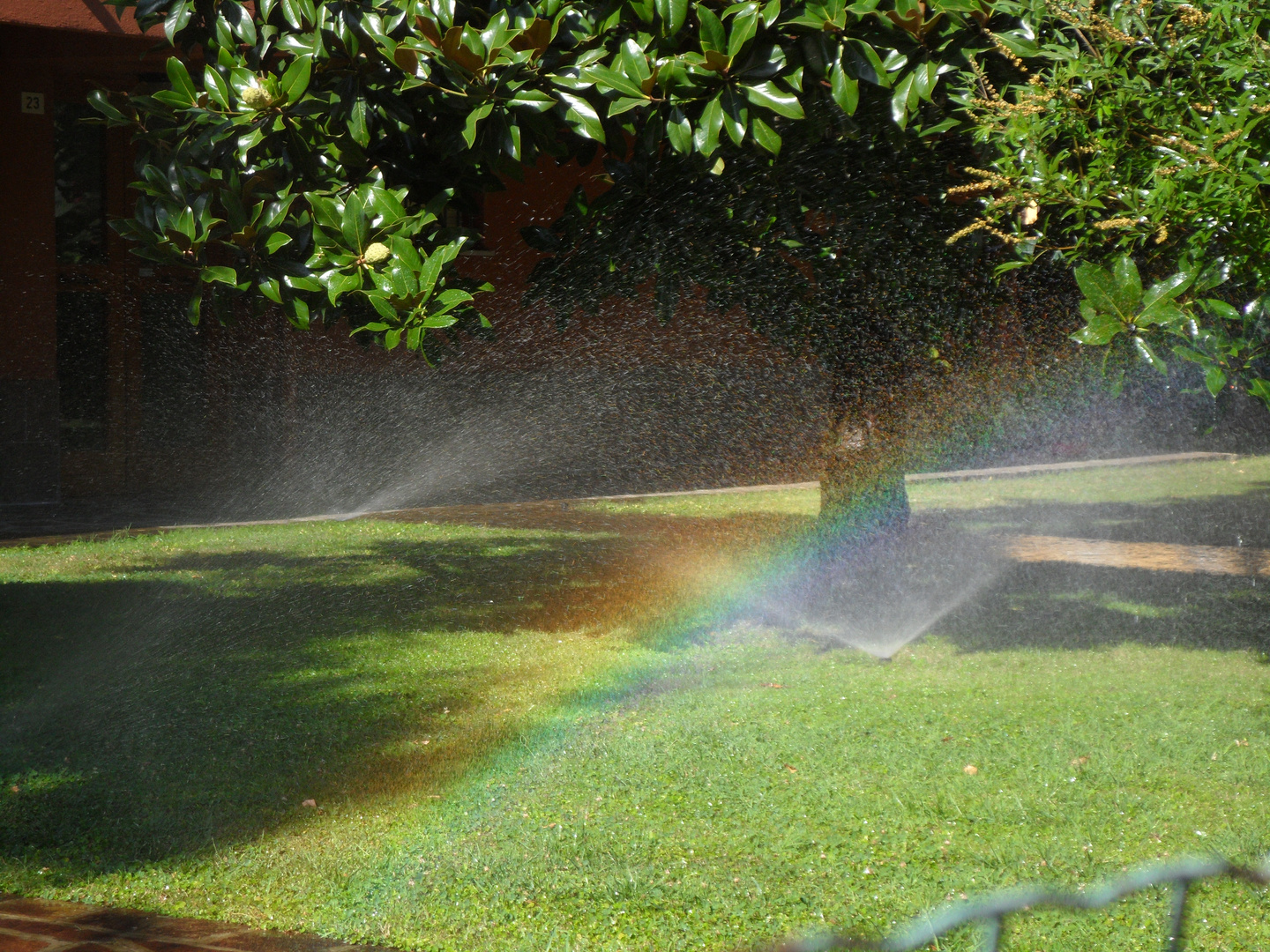 Arcobaleno in giardino