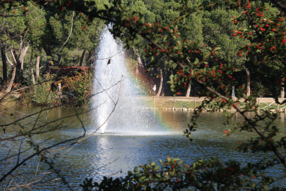 Arcobaleno Parco dei Cigni Pescara