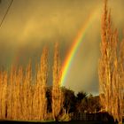 Arcoiris en Tasmania