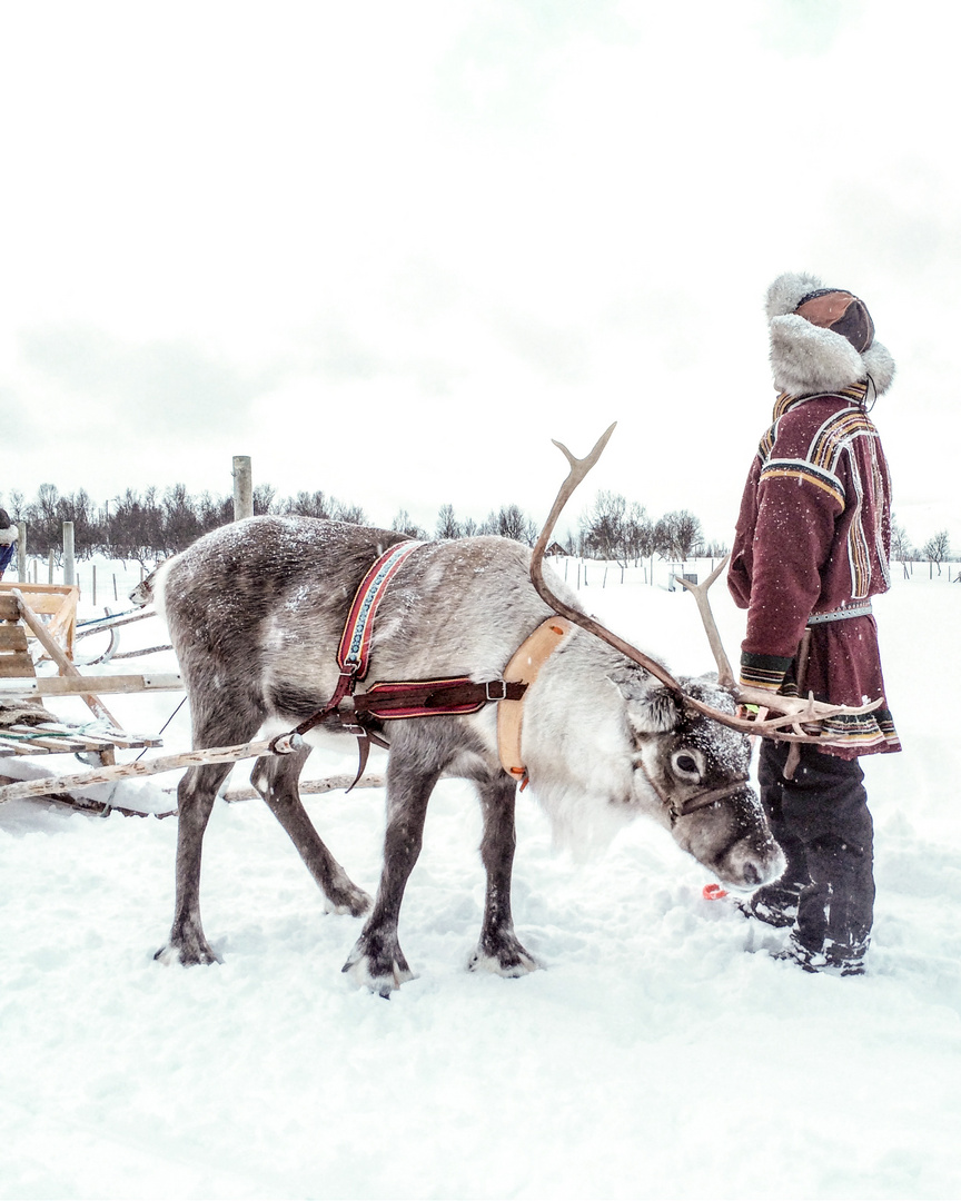 Arctic Adventures