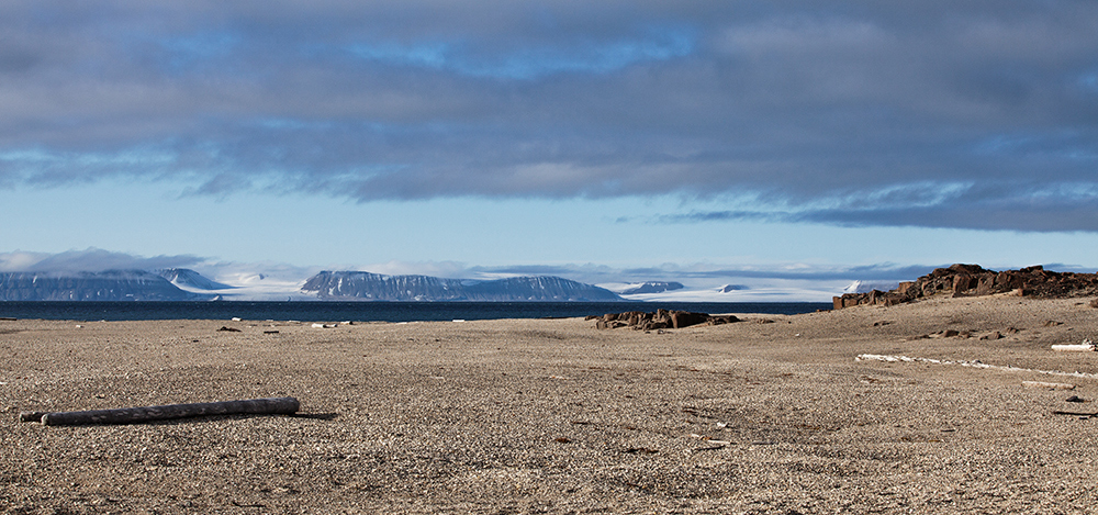 Arctic Desert