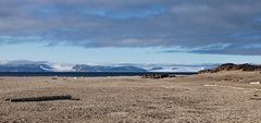 Arctic Desert