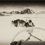 Arctic Dream #7#..