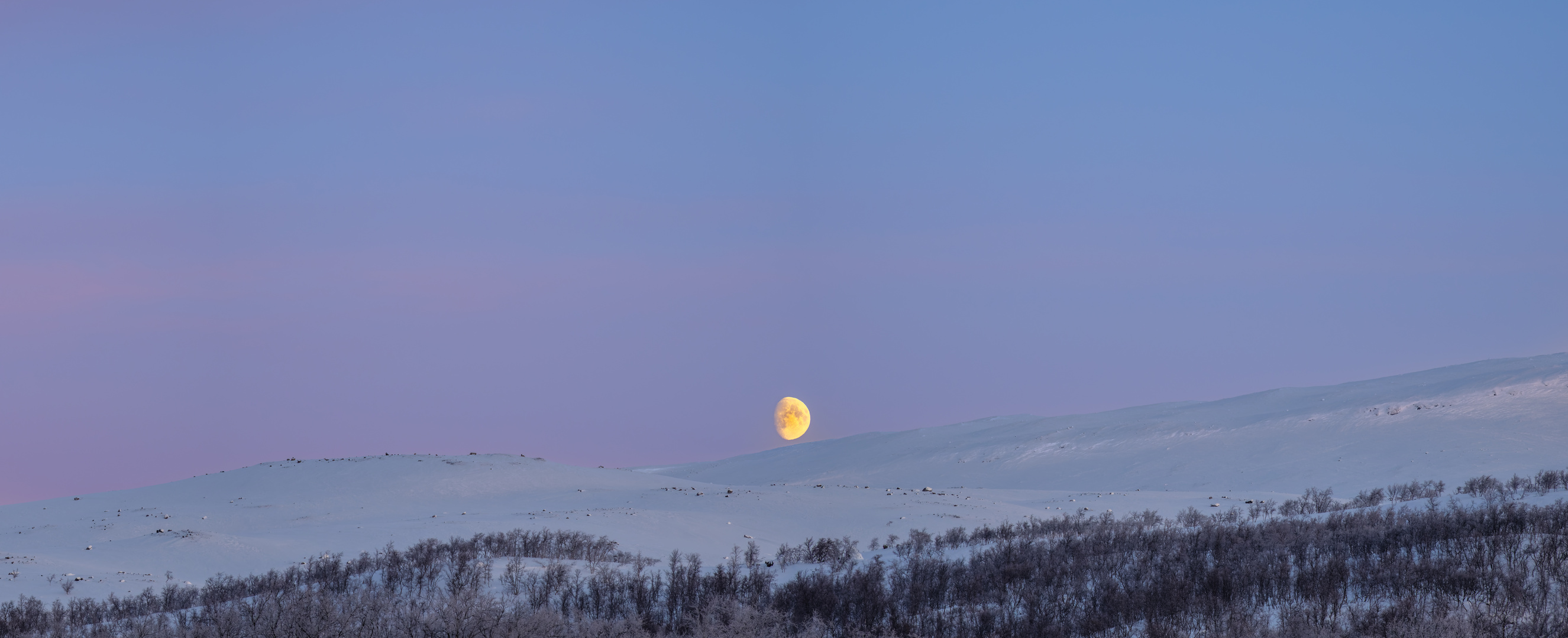 Arctic Moon