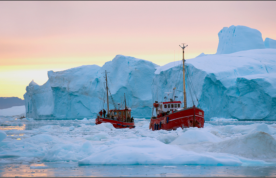 arctic pastel colors