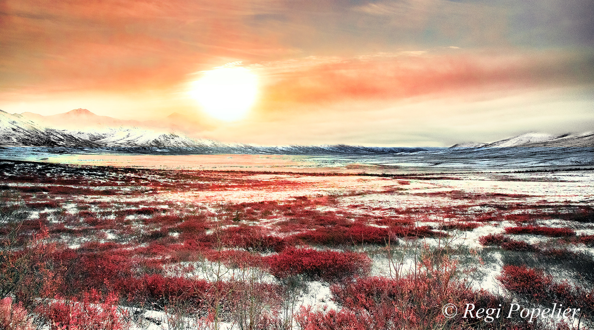 Arctic Refuge