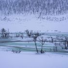 Arctic Scene