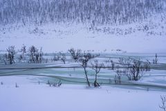 Arctic Scene