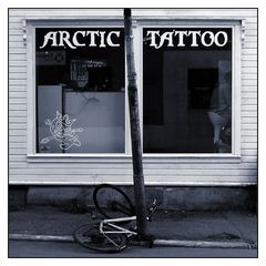 Arctic Tattoo