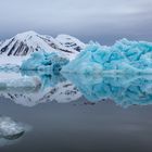 * arctic.land.scape *