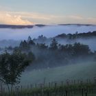 Ardennen