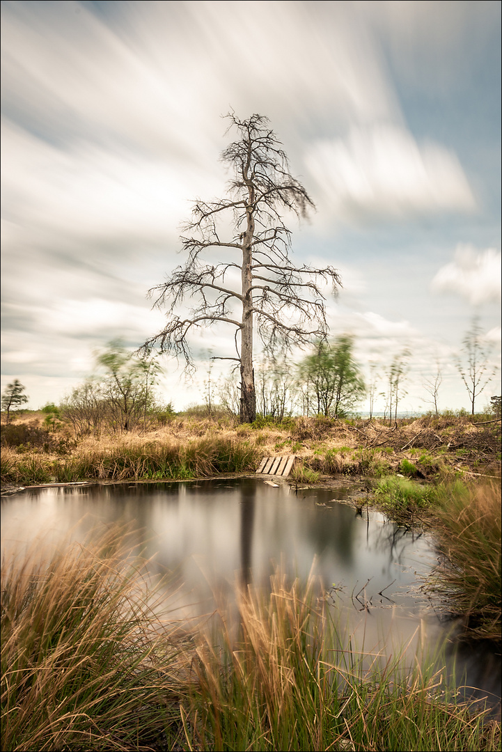 Ardennen #1