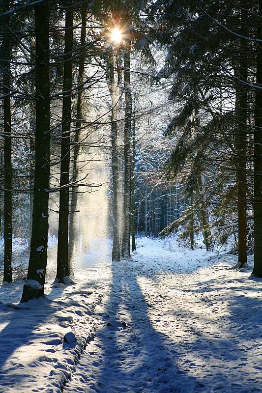 Ardennen