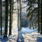 Ardennen