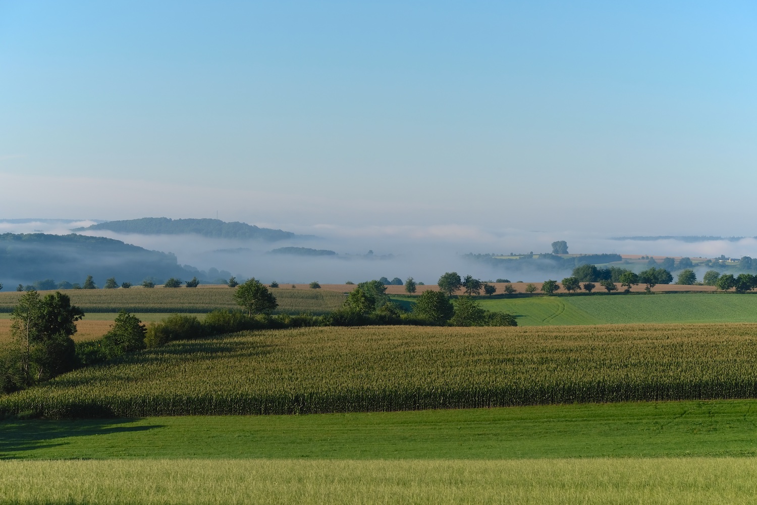 Ardennen - Eifel... am frühen morgen