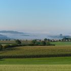 Ardennen - Eifel... am frühen morgen