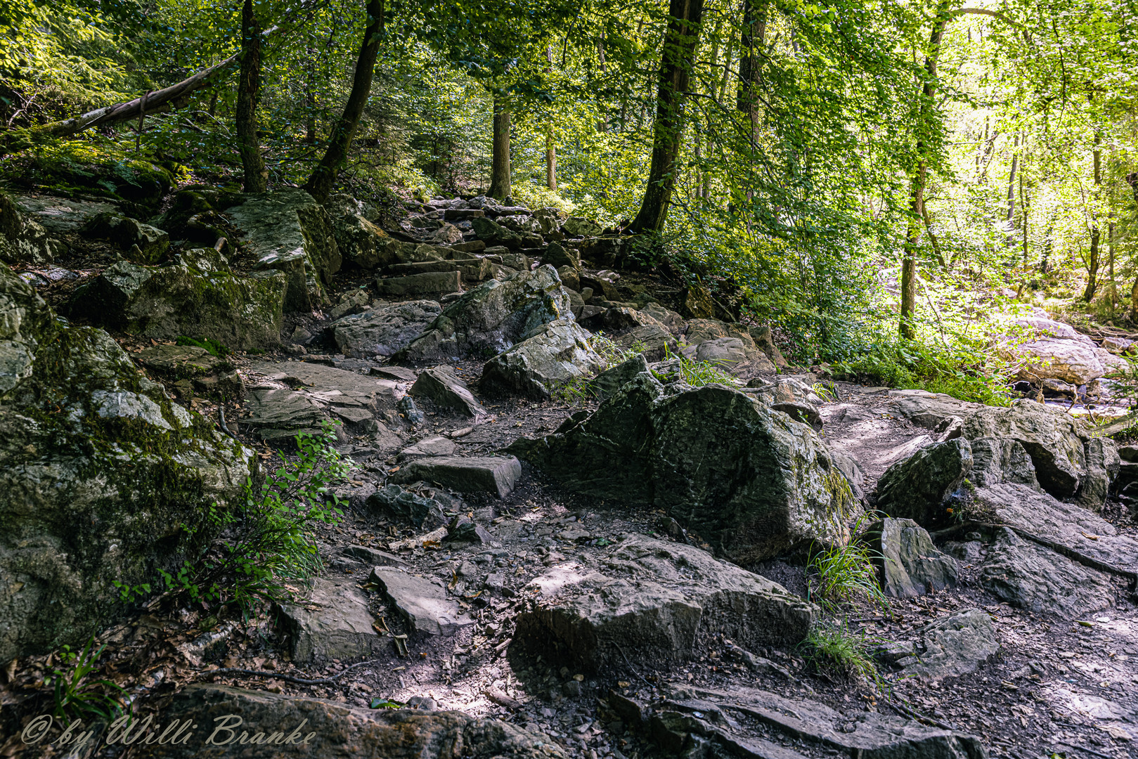 - Ardennen, Eifel, Hohes Venn 3 -