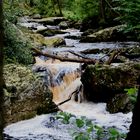 Ardennen/ Hohes Venn