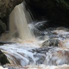 Ardennen/ Hohes Venn