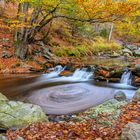 *Ardennen-Wasser*