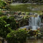 Ardennen, Waulsort,B