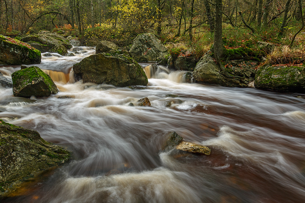 ardennenfluss 01/13