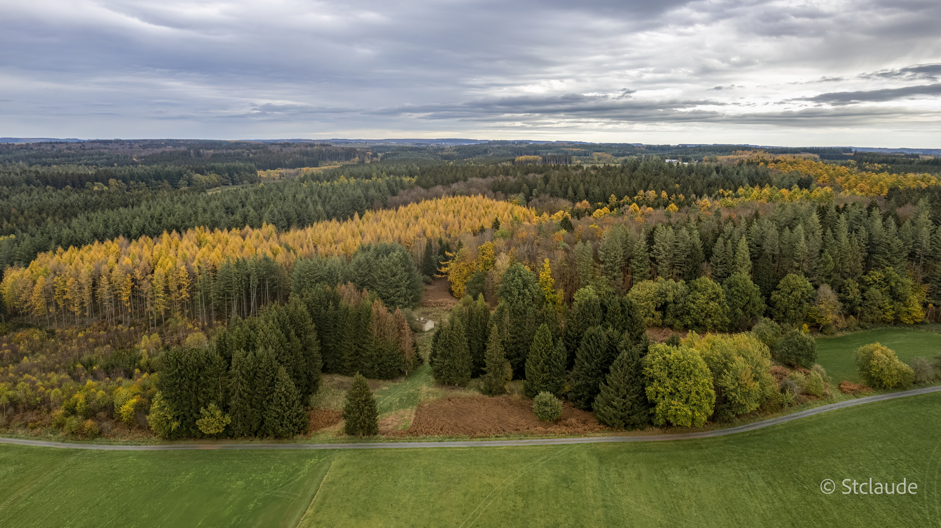 Ardenner Wald