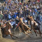 Ardia di Sedilo Sardegna