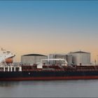 ARDMORE CHIKOREE, Tanker, Rotterdam.