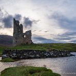 Ardvreck Castle (1)