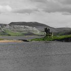 ~ Ardvreck_Castle ~