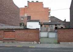 Are there any flowers in this backyard collage?