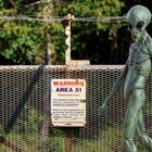 Area 51