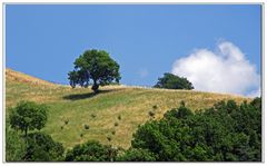 area di sosta....aire de repos....